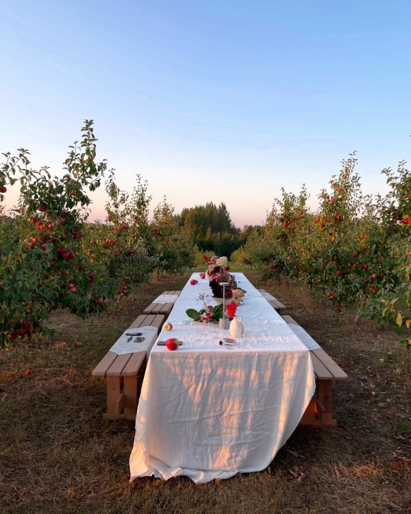Святкуем вашу любоу: 20 лучших площадок для