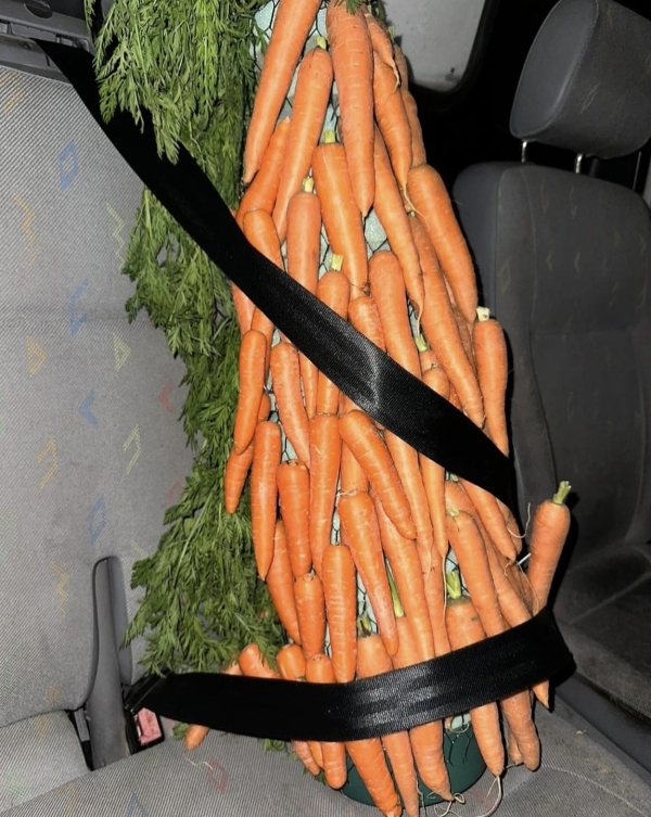 В каких цветах украшать дом на Новый