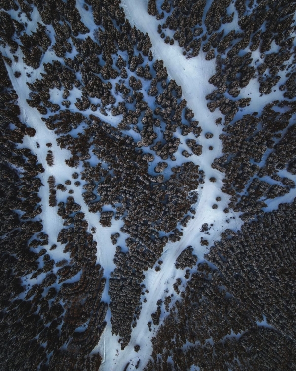 Лыжи или сноуборд? 7 безвизовых горнолыжных курортов