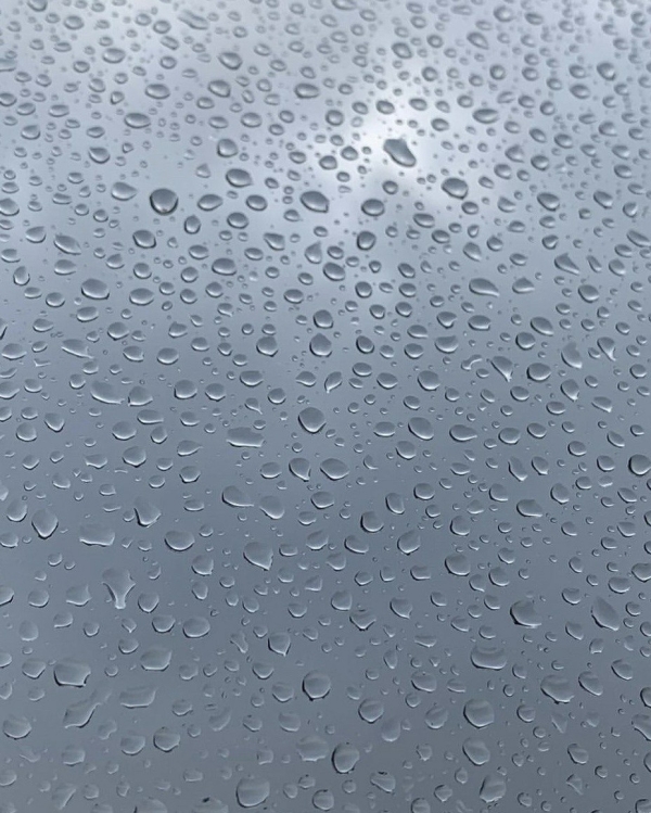 Чем заняться в дождь в Петербурге?