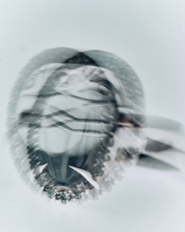 Да, да и еще раз да. Как