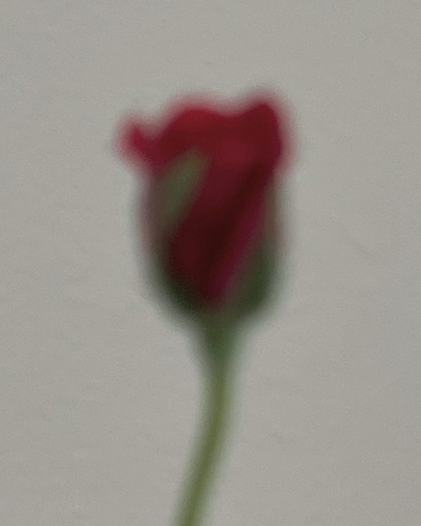 Любой каприз за ваши деньги. Как правильно