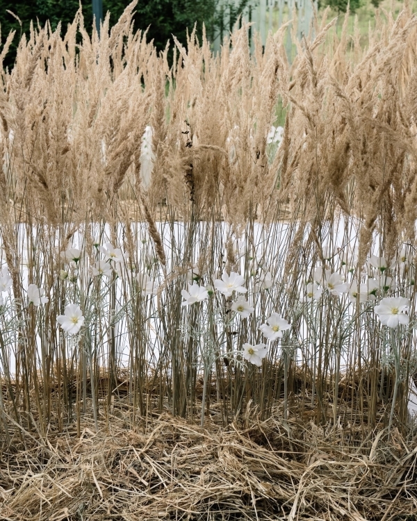 Самые запоминающиеся свадебные оформления 2024