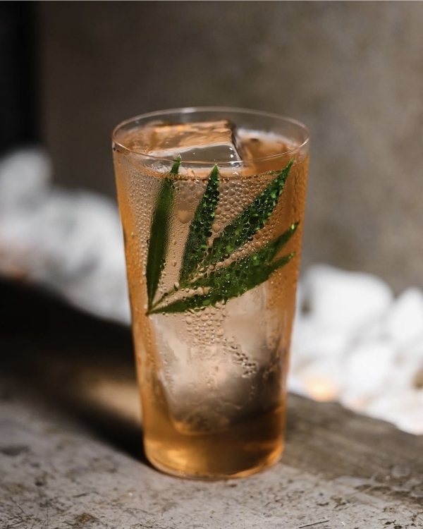 Закупаемся искусством на Cosmoscow, пробуем моллюсков в