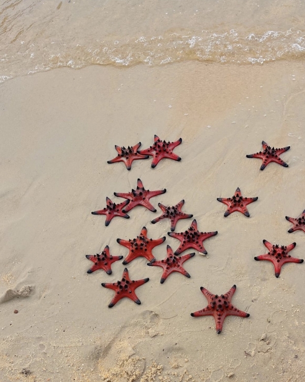 Снова на море! Куда улететь из Москвы