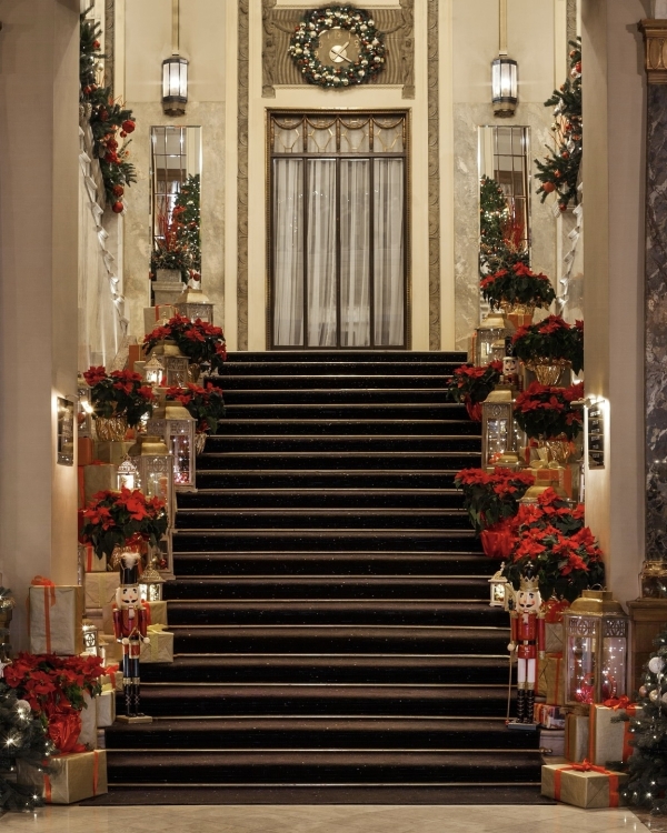 Как дома, только лучше: новогодние программы в