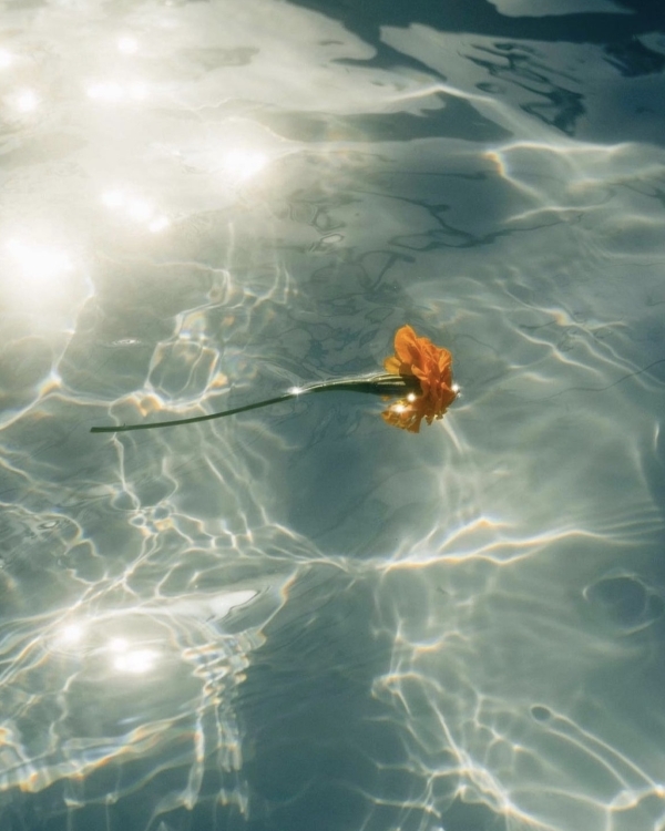 Не отпускаем лето. Подборка 7 отелей Подмосковья