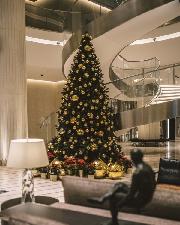 Как дома, только лучше: новогодние программы в