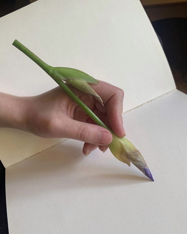 Любой каприз за ваши деньги. Как правильно