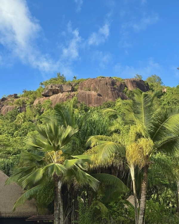 Райское наслаждение. Вот 10 лучших отелей для