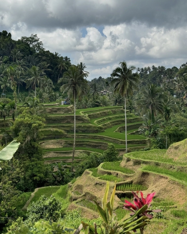 На недельку, до второго: куда отправиться на