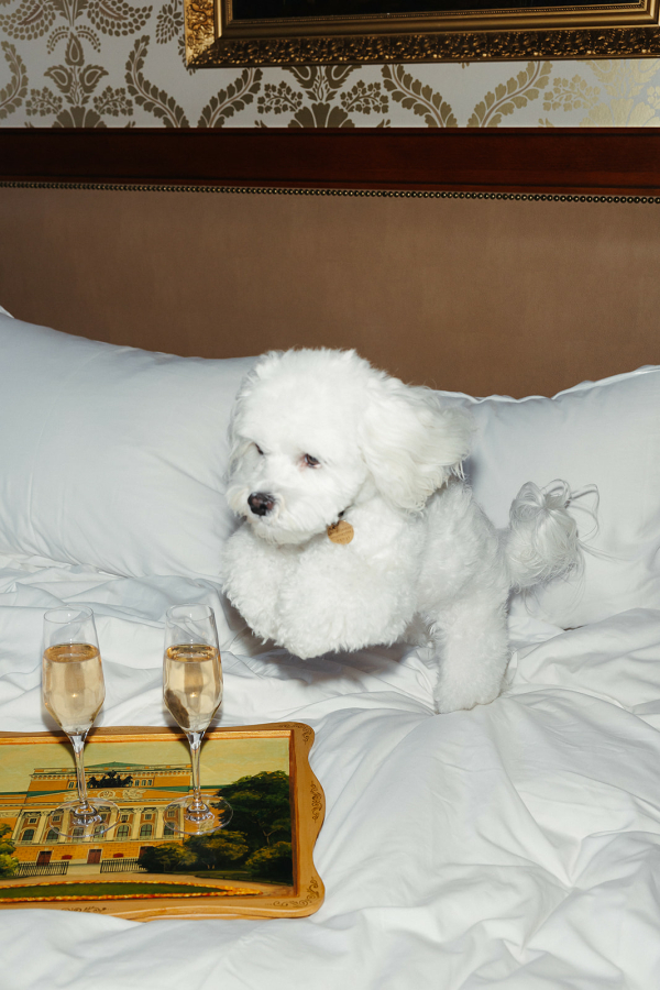 Backyard Party: атмосфера дачного званого ужина на