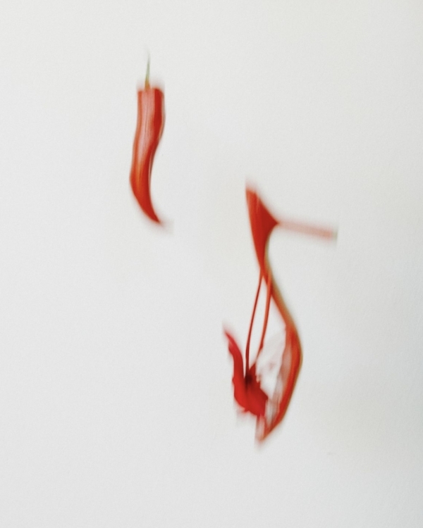 Поднимем бокалы! Разбираем правила этикета тостов на