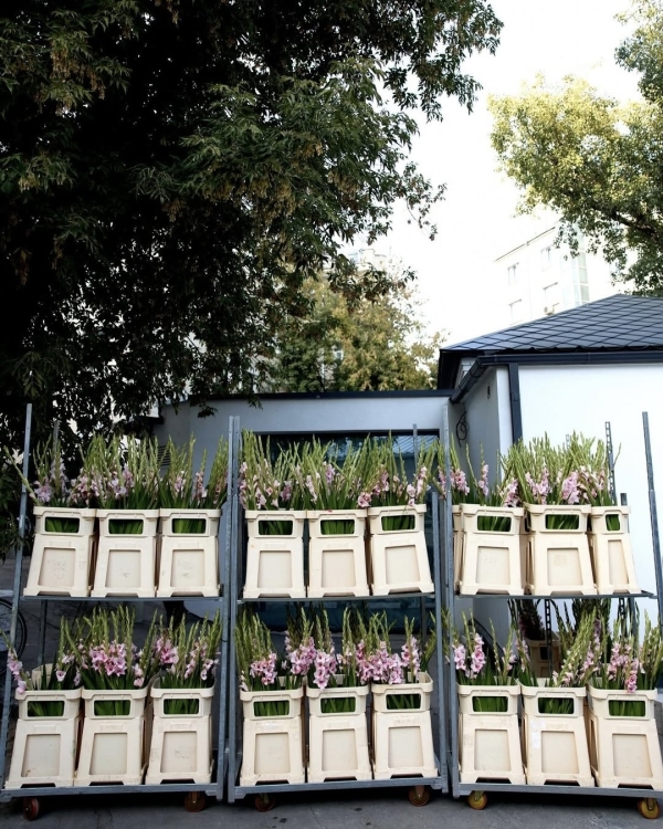 Вы созрели? 40 идей, как оформить флористику