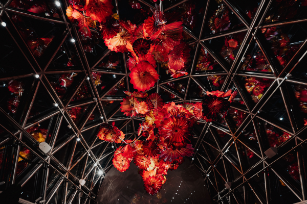 Площадки Wawelberg Hotel