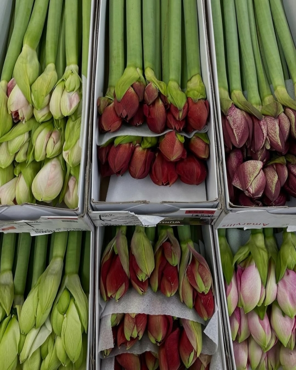 Эстетик рутина: 8 классных рынков Москвы, где