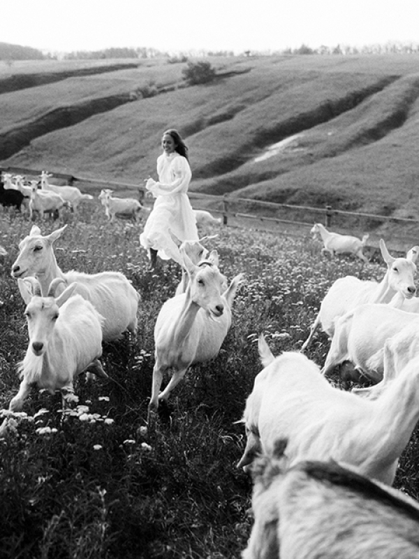 Фотографы Оксана Несмеянова