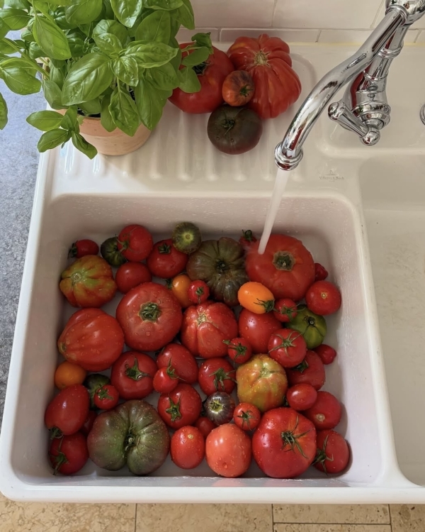 Эстетик рутина: 8 классных рынков Москвы, где