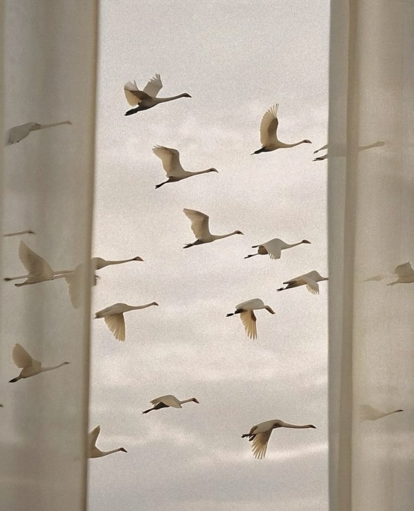 Нормально ли общаться с бывшими?