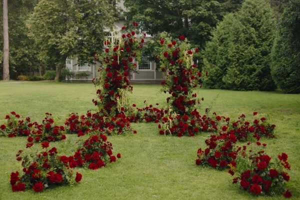 Агентства Now Family