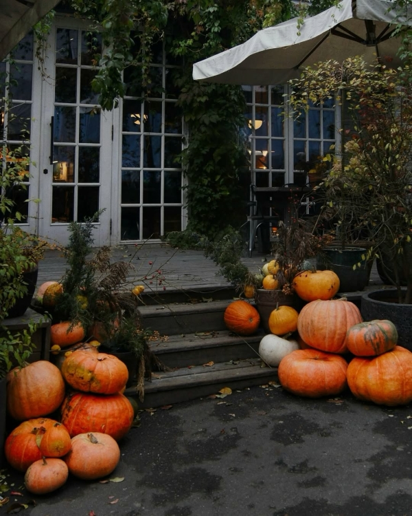 Парение в новых «Банях Малевича» и другие идеи,