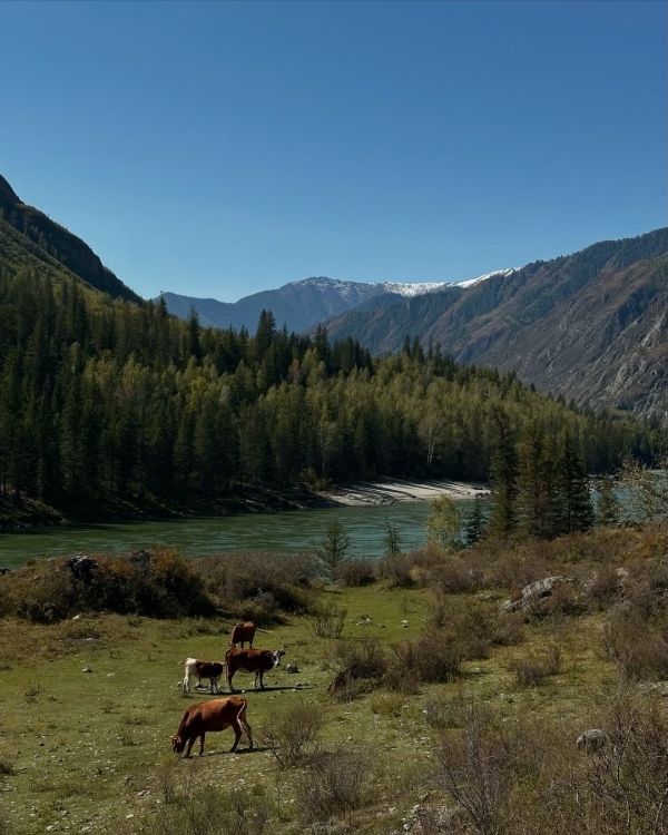Куда поехать на осенние школьные каникулы с