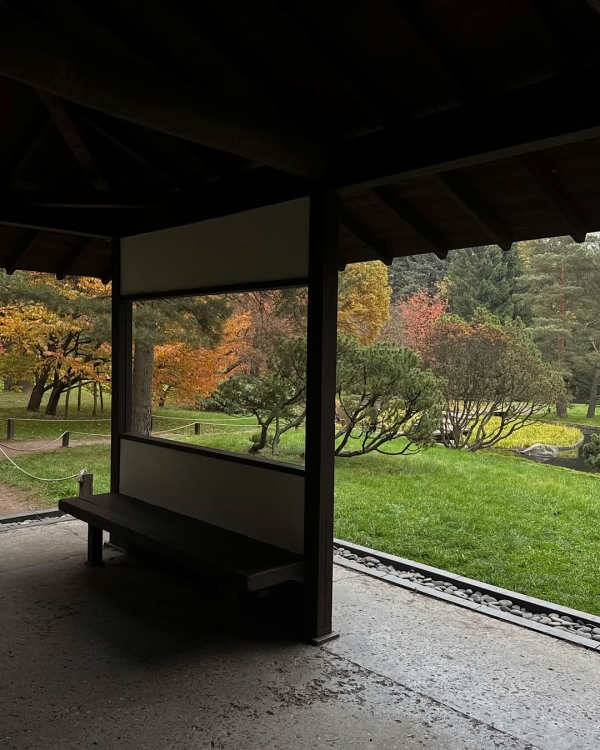 Парение в новых «Банях Малевича» и другие идеи,