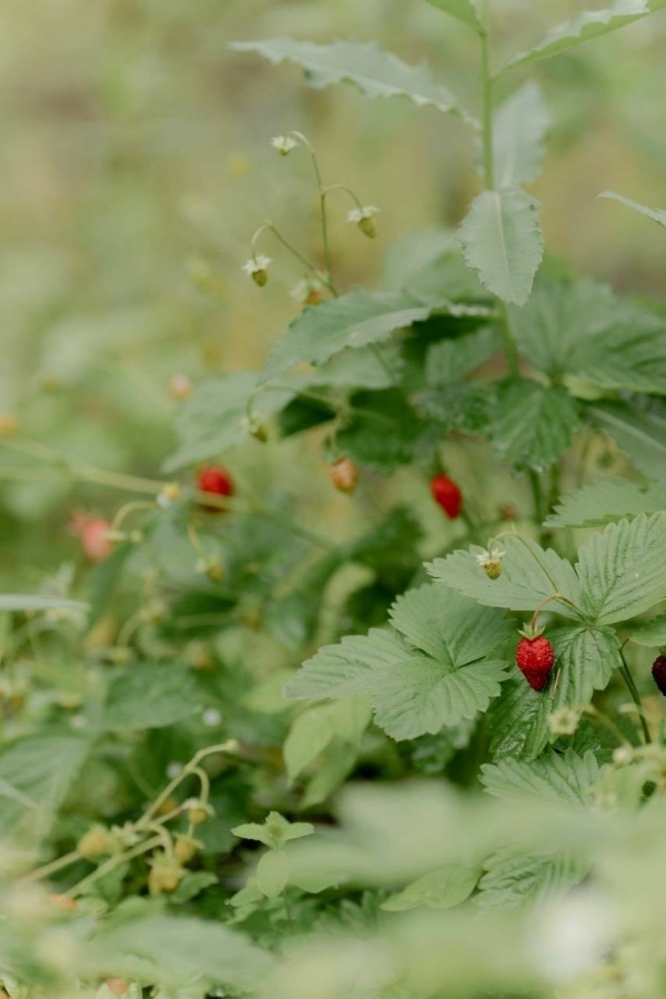 Площадки UspenSKY