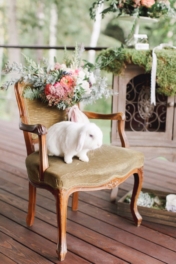 Площадки Бутик-отель Родники