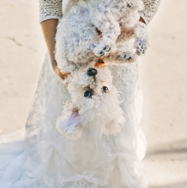 California Dreamin: Lyz + Jeremiah