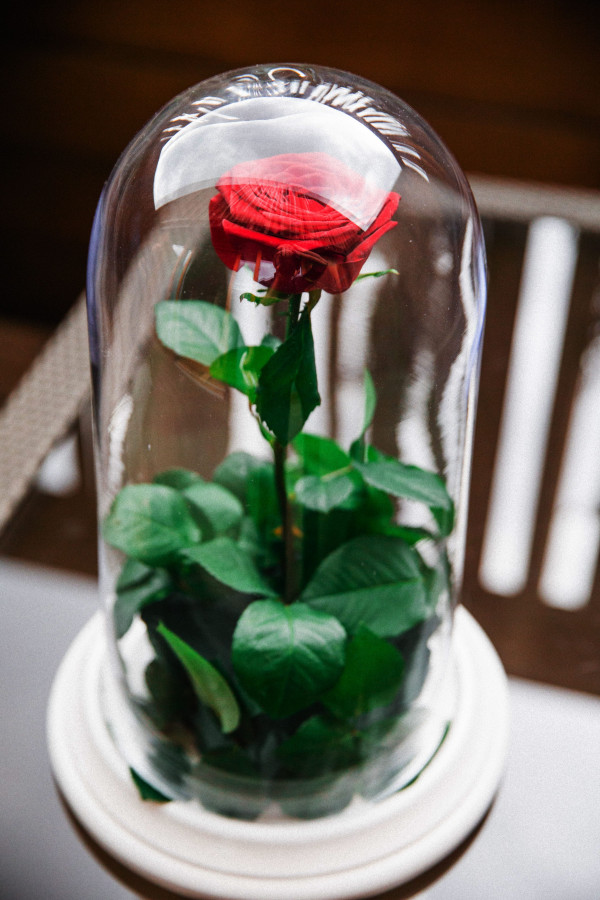 Свадьба Константина и Сауле по мотивам сказки