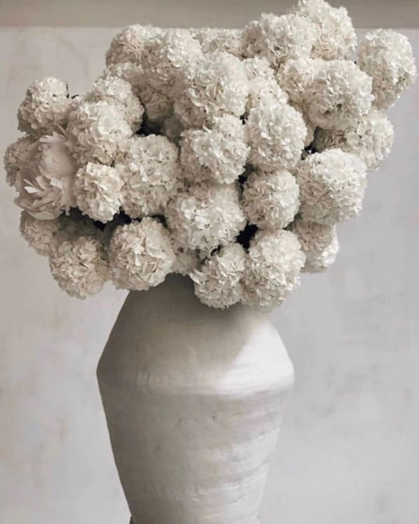 Как разносить свадебные туфли