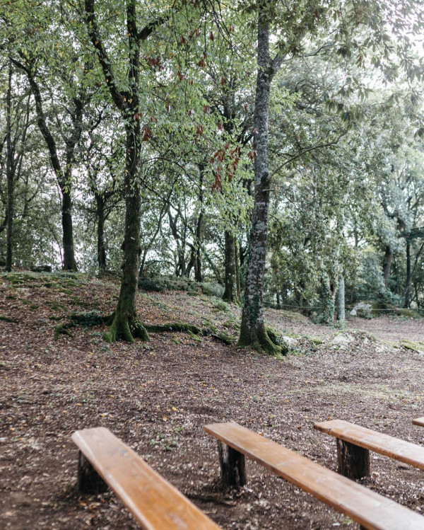 Фотограф Стефано Сантуччи: «Мы дарим людям воспоминания,