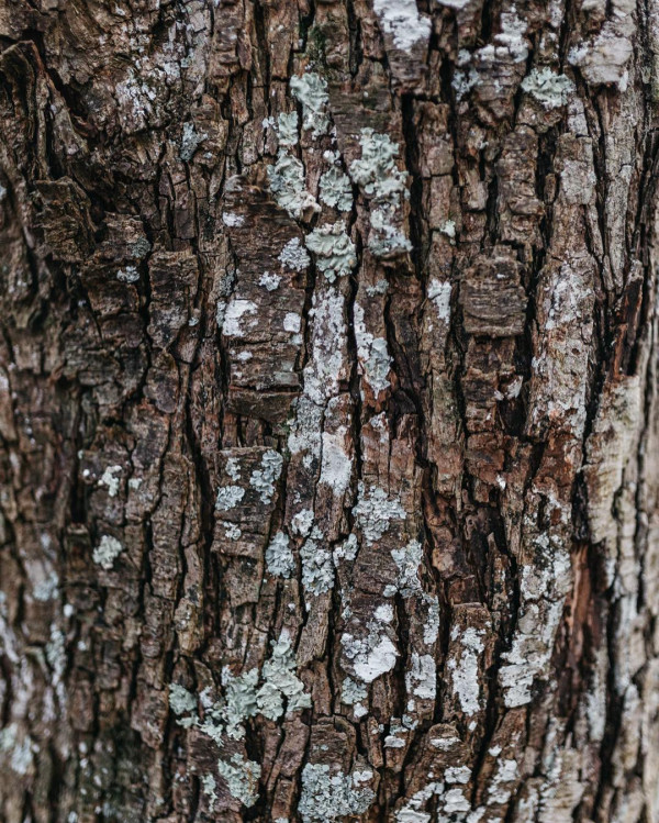 Фотограф Стефано Сантуччи: «Мы дарим людям воспоминания,