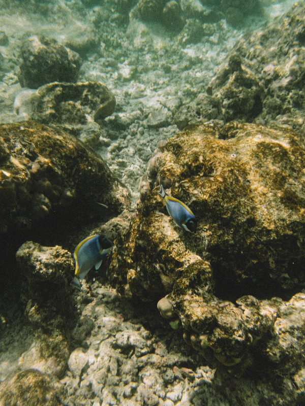 Как сделать модные фото на Мальдивах