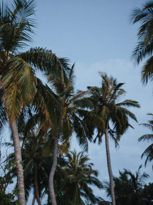 Как сделать модные фото на Мальдивах