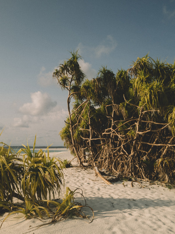 Как сделать модные фото на Мальдивах