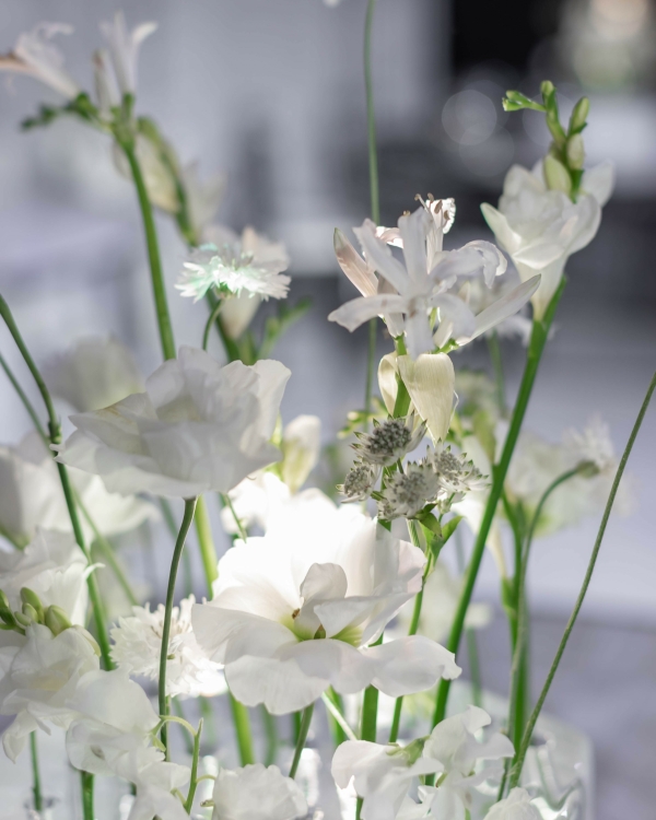 Краски жизни: концептуальное оформление свадьбы от студии