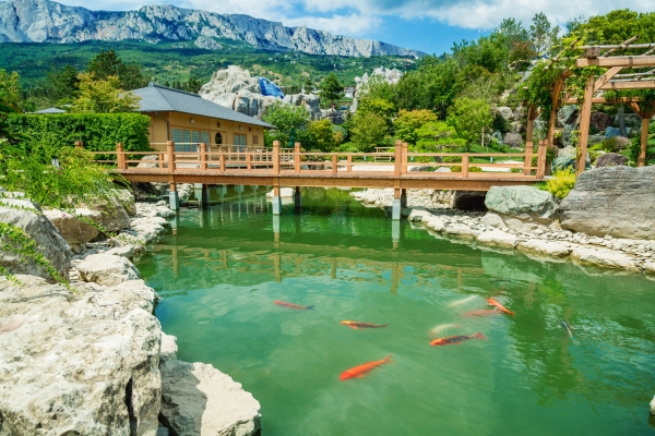 Площадки Курорт Мрия