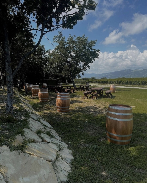 10+ виноделен России, которые стоит посетить в