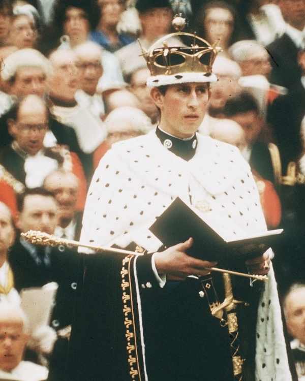 Да здравствует король: все, что нужно знать