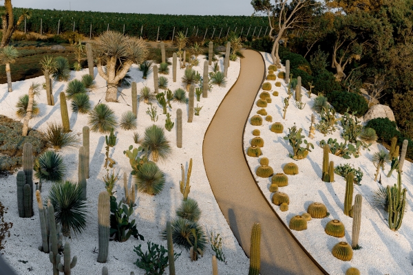 Площадки Курорт Мрия