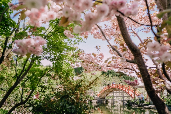 Площадки Курорт Мрия