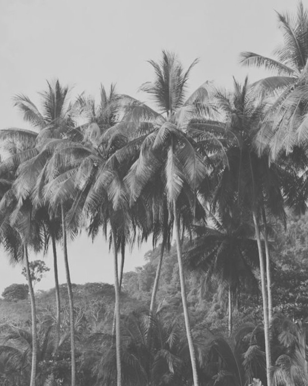 Медовый месяц осенью: 5 лучших пляжных направлений