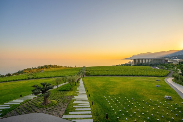 Площадки Курорт Мрия