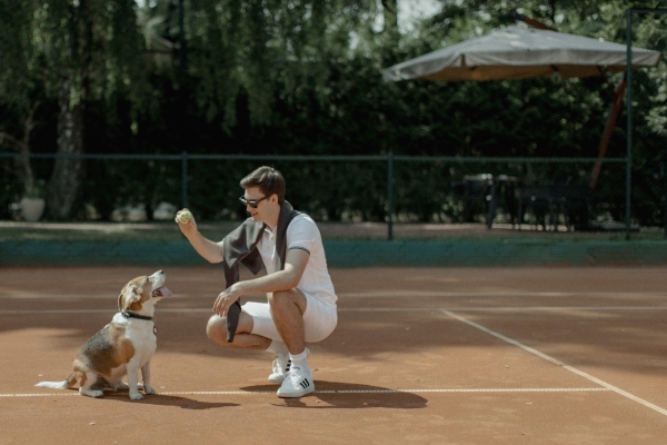 Большой теннис, чаепитие у фонтана и прогулка