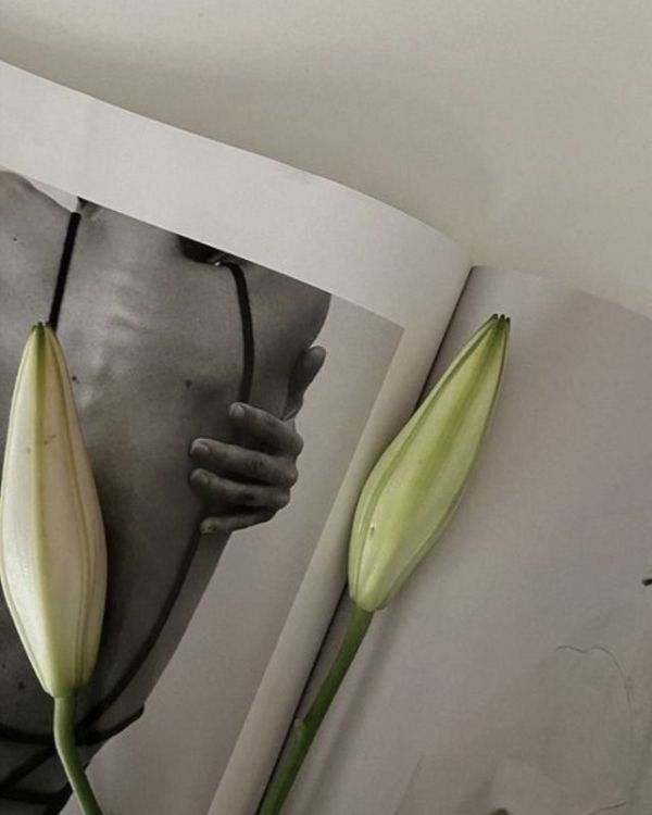 Бьюти-гороскоп на сентябрь: когда делать стрижки, окрашивание,