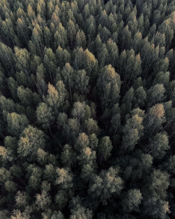 Где полетать на воздушном шаре в ближайшем