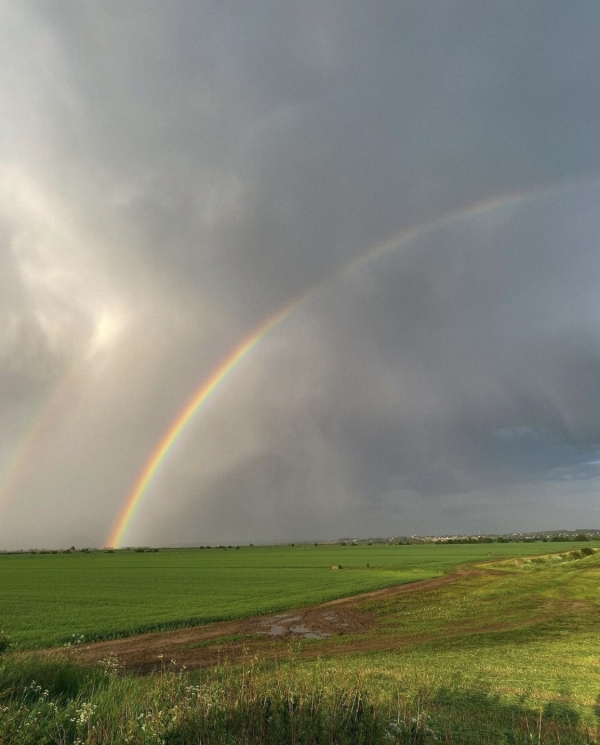 Где полетать на воздушном шаре в ближайшем