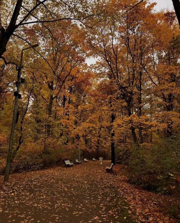 Чек-лист: что нужно успеть сделать до конца